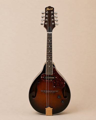 Ibanez mandolin