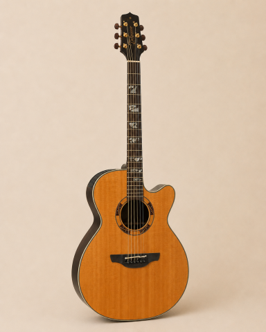 Takamine Santa Fe