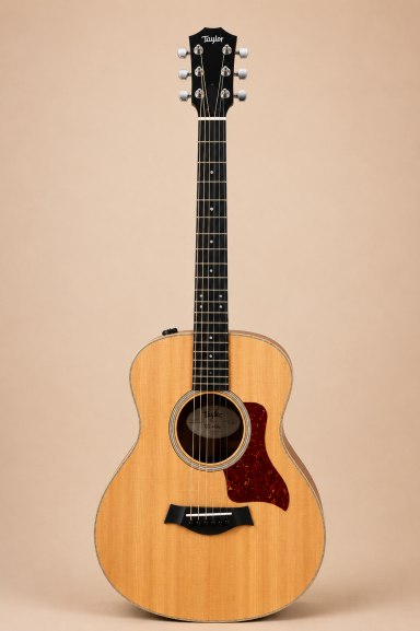 Taylor GS mini